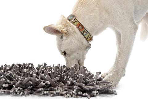 dog eating on snuffle mat