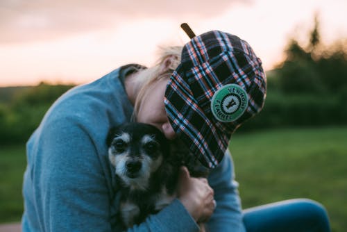 When it’s not a forever home – Rehoming dogs