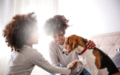 How to find your next Good Dog! (Part 1)